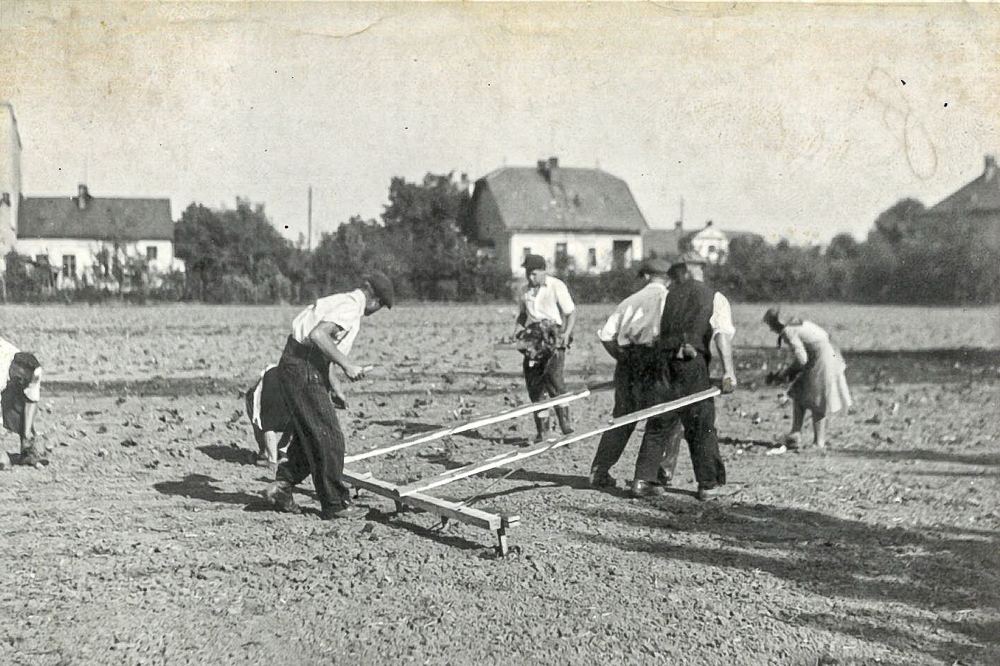 Zahradnictví u Sadové ulice
